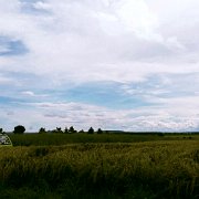 IMG-20160618-WA0005